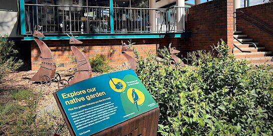 Enjoy a guided walk around the Moruya Library gardens on World Environment Day happening on Monday, June 5. Picture via Eurobodalla Shire Council