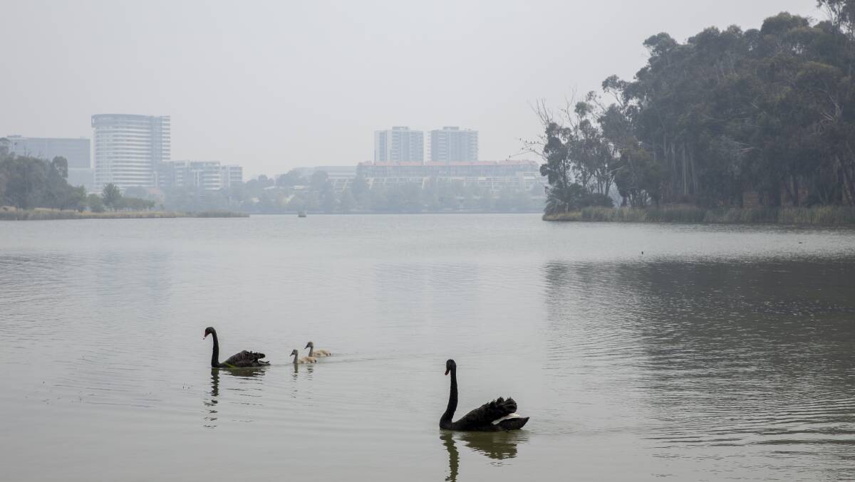 The water level at Lake Ginninderra will be noticeably lower from Monday, July 31, and will last until the end of August while work is under way, weather permitting. Picture by Sitthixay Ditthavong