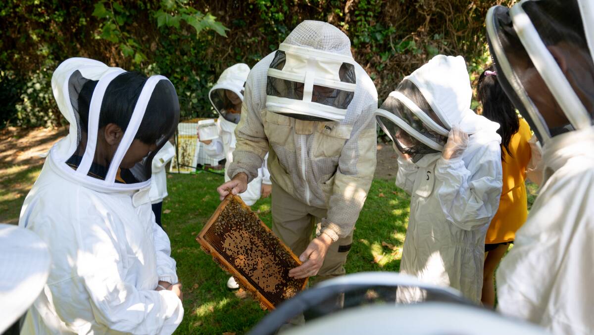 The school kids got to handle the new honeybees, under the guidance of head beekeeper Cormac Farrell. Picture by Elesa Kurtz