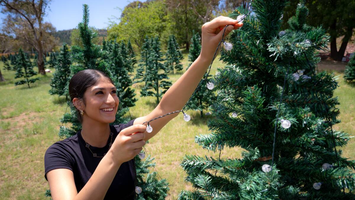 Suhana Malhoti helping to decorate the trees at Farrer. Picture by Elesa Kurtz