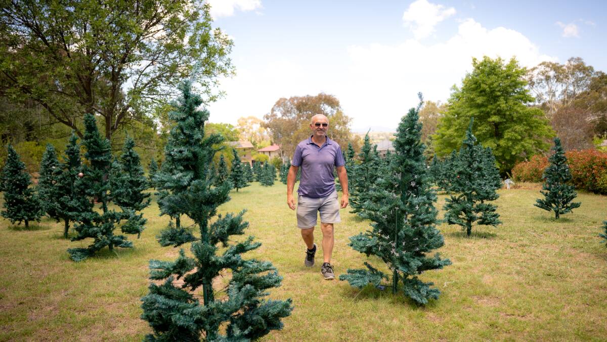 Mr Azdajic has put up 400 Christmas trees for people to visit and sponsor. Picture by Elesa Kurtz