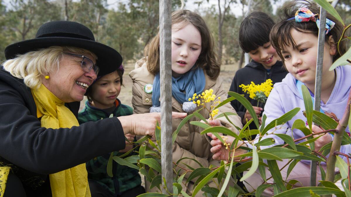 Wattle Day Association president Dr Suzette Searle (left) will give talks in the Golden Grove of the arboretum. Picture: Elesa Kurtz