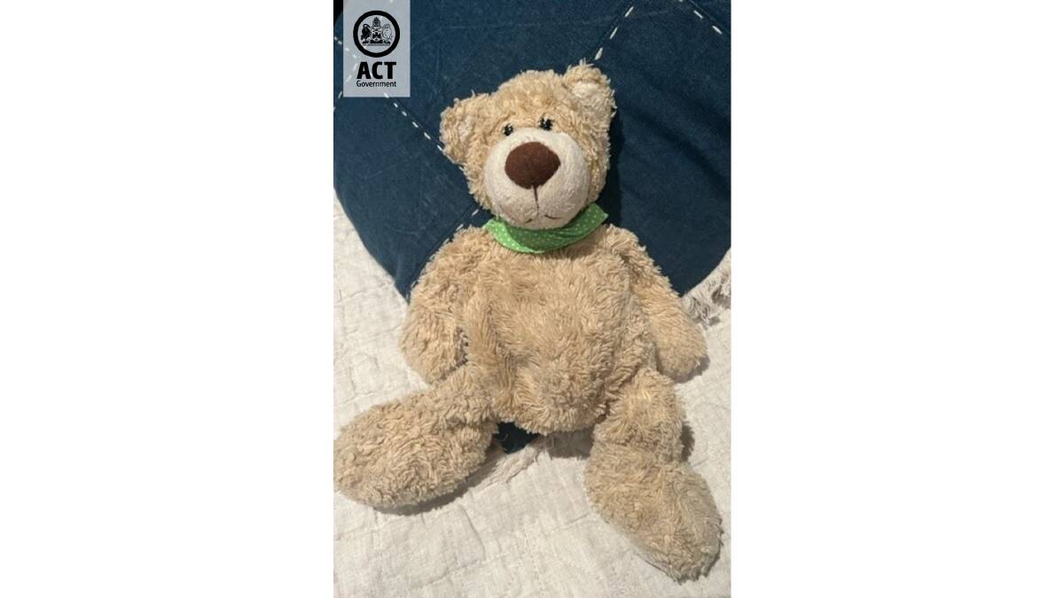 Teddy his now safely back with his owner thanks to the team at Capital Linen Service. Picture: Supplied 