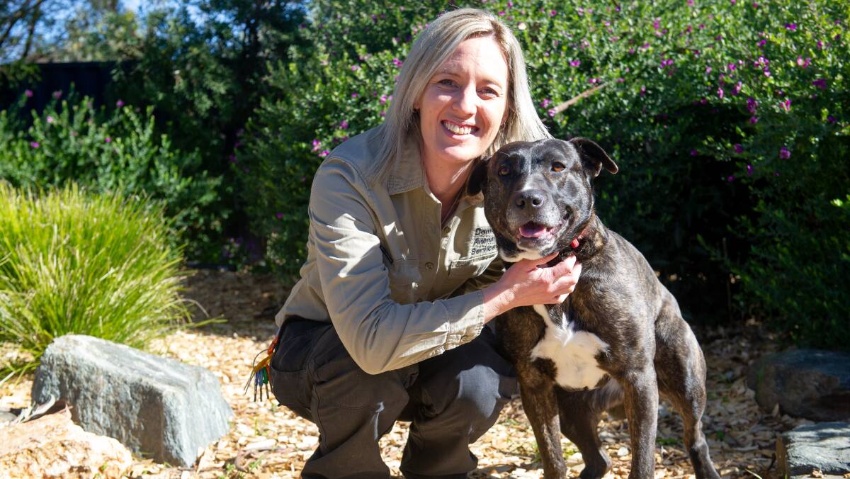 Domestic Animal Services adoptions coordinator Tara McMahon with Aero. Picture by Elesa Kurtz