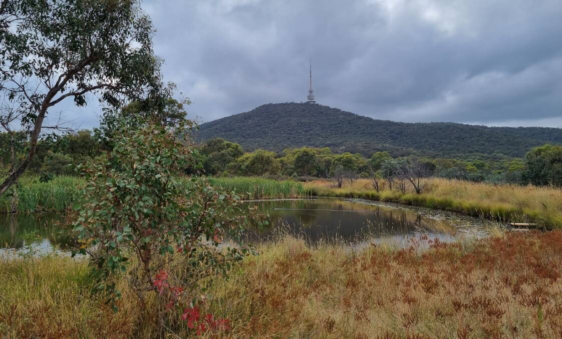 The trail provides some different perspectives of Canberra. Picture supplied 