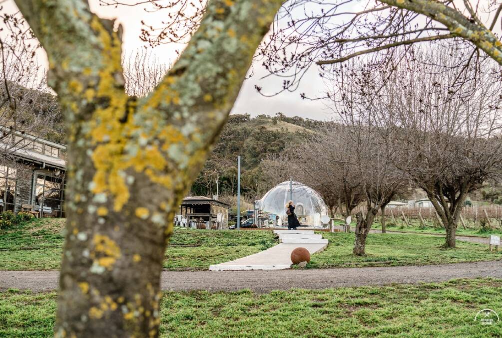 The dome is surrounded by blossom trees, with views over the vineyard.