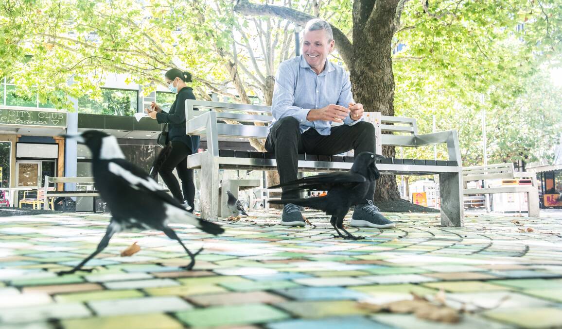 Chris Uhlmann enjoying the magpies of Garema Place. Picture by Karleen Minney