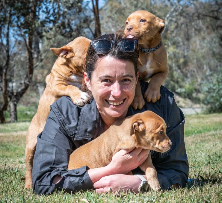 DAS assistant director Jackie Gardner with some of the puppies up for adoption at the open day. Picture by Karleen Minney