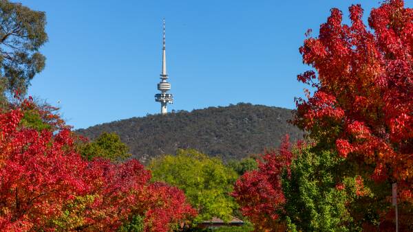 Canberra ranked second best city in the world for quality of life