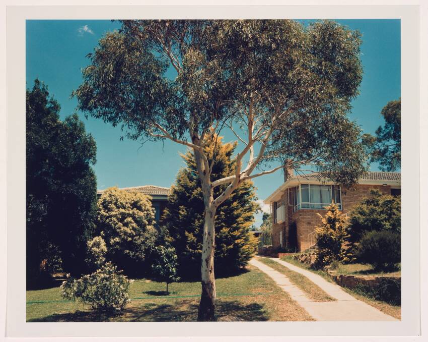 Ian North, Canberra suite #17 (Front garden with eucalyptus tree), 1981, Type C colour photograph, 37.1 h cm, 46.1 w cm, National Gallery of Australia, Kamberri/Canberra, gift of the artist 1987.