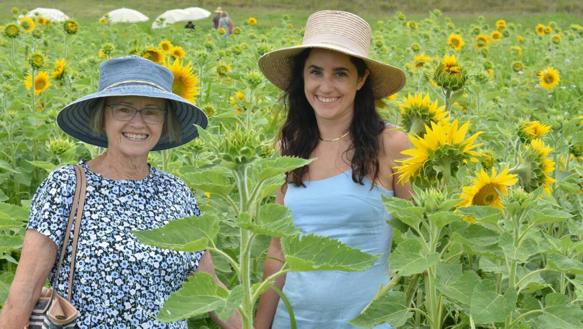 Dinah and Sarah from Pambula wander the fields of sunflowers at Ryefield Hops in Bemboka on Sunday, February 12. Picture by Ben Smyth