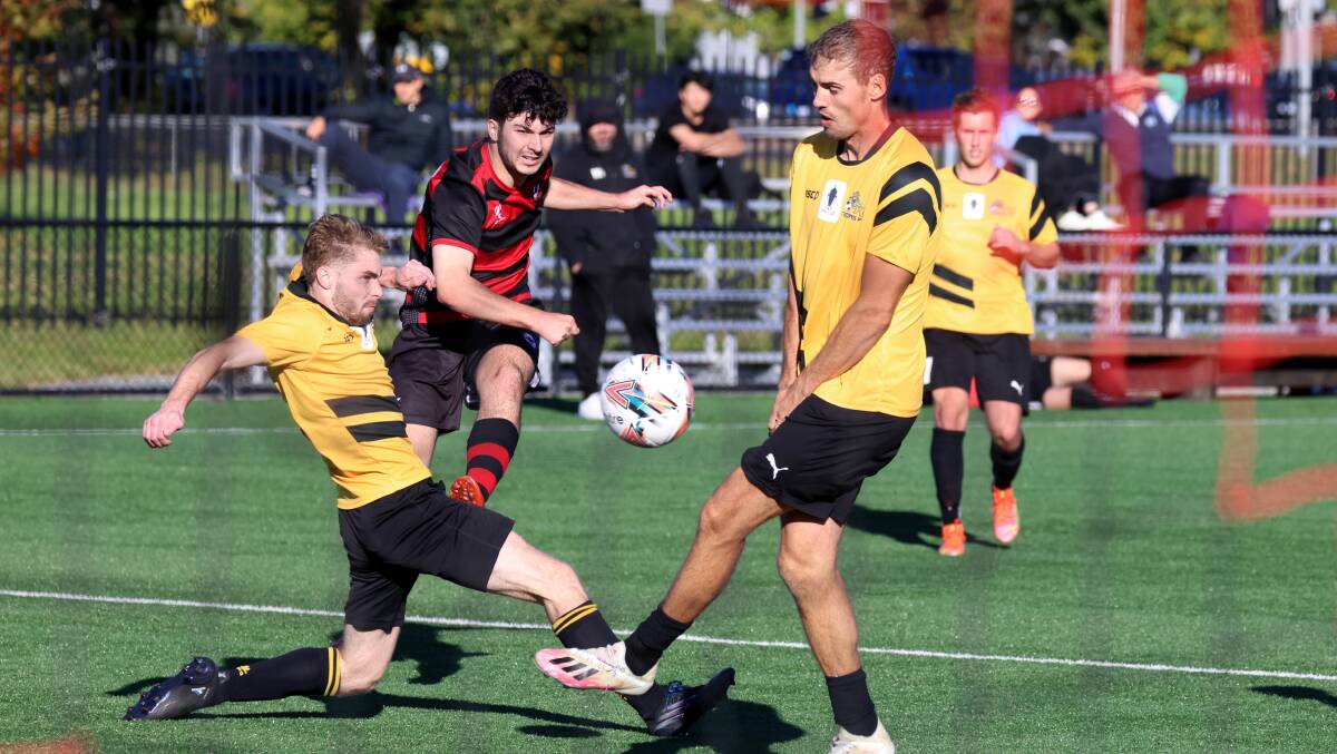 Tigers FC recorded their ninth draw of the season on Saturday against the West Canberra Wanderers. Picture: James Croucher
