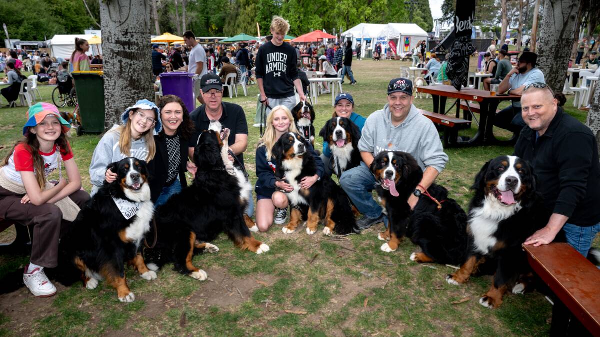 Eloise and Claudia Kohler, Melanie Bagg, Murray Fisher, Mitchell Campbell, Mia Hall, Katherine Campbell, Callum Heinrich and Gary Hall with their Bernese Mountain dogs Willa, George, Hudson, Elsie, Mary, Arlo and Zeus at Dogs' Day Out at Floriade. Picture by Elesa Kurtz