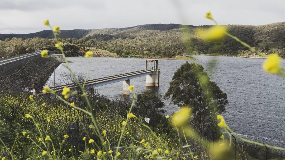 Googong Dam, which is managed by Icon Water. Workers at Icon are in an industrial dispute with management. Picture by Dion Georgopoulos