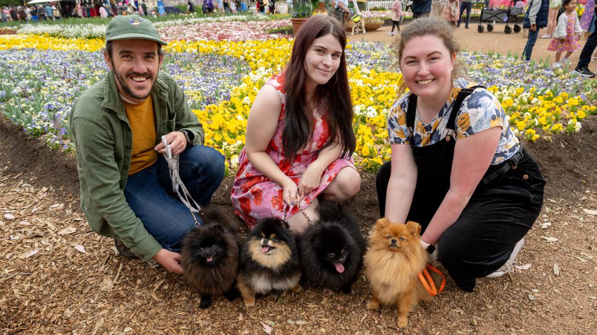 Jacob Buddee, Tahlia Wilson and Islay Andrew with their pomeranians Maggie, Prada, Versace and Cinnie at Dogs' Day Out at Floriade. Picture by Elesa Kurtz