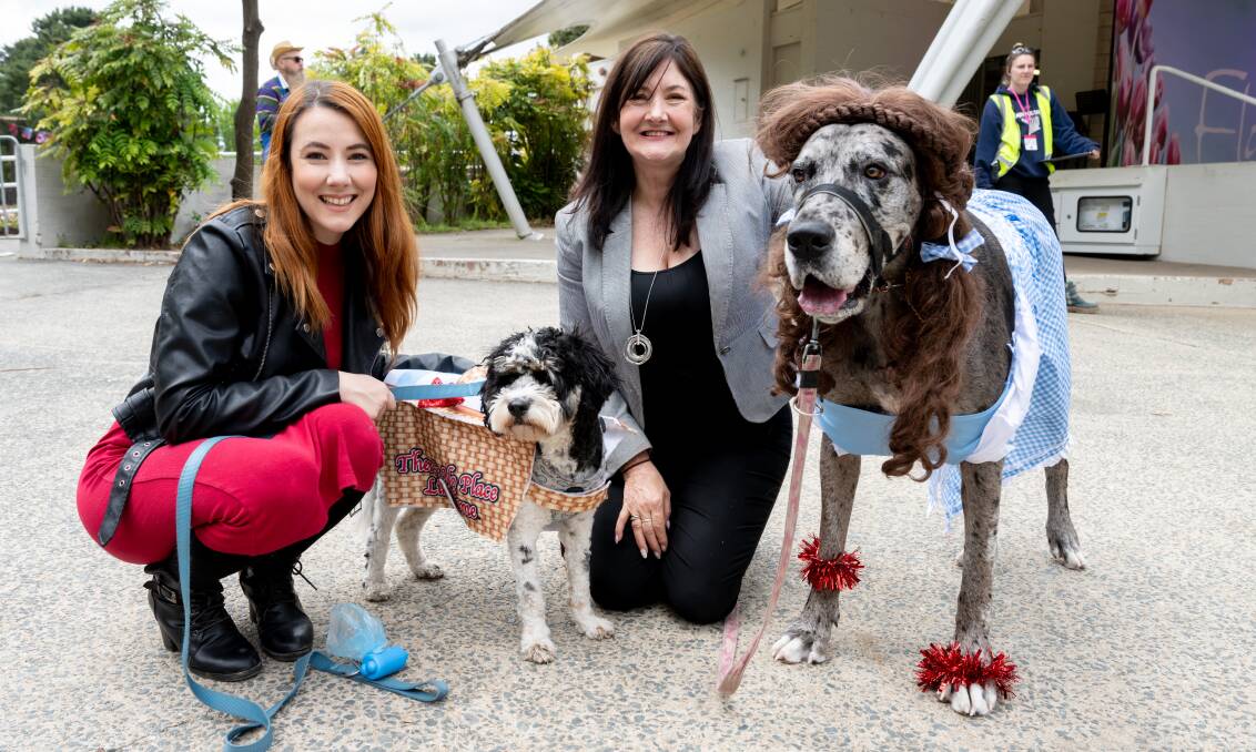 Kaitlin and Lauren Nihill with their dogs Fergus and Nala dressed at Toto and Dorothy at Dogs' Day Out at Floriade. Picture by Elesa Kurtz
