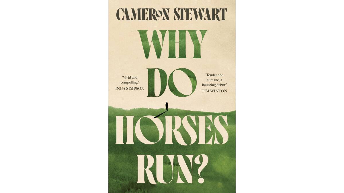 Why Do Horses Run? by Cameron Stewart. 