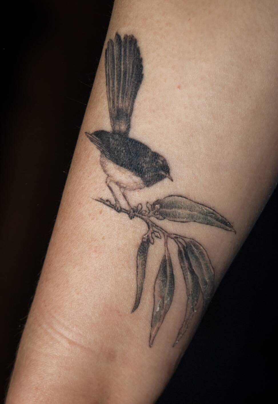 Aardvark Tattoo Company - @risatattoosaardvark serving us this dynamic and  elegant art. Anybody else jump for joy when you see a humming bird zipping  around a bird feeder like me? | Facebook