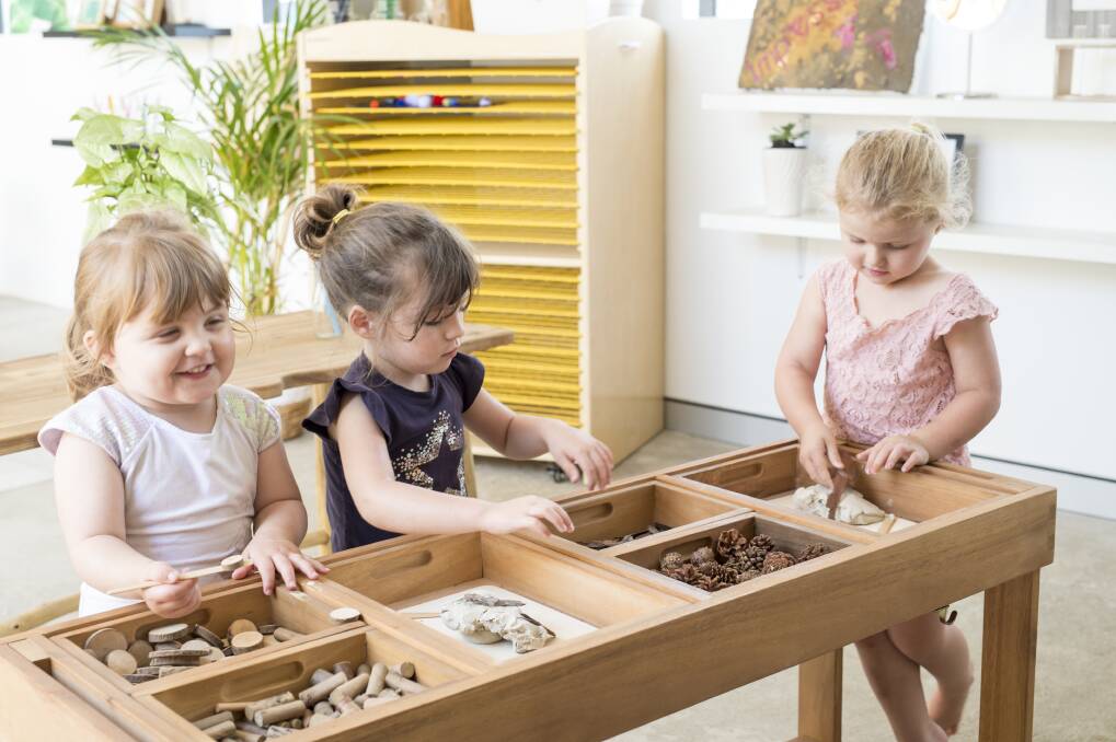 Investment in young minds: To benefit the future, within a nest, as the Italian term 'Nido' states. The team use the children's interests to scaffold their learning and development.