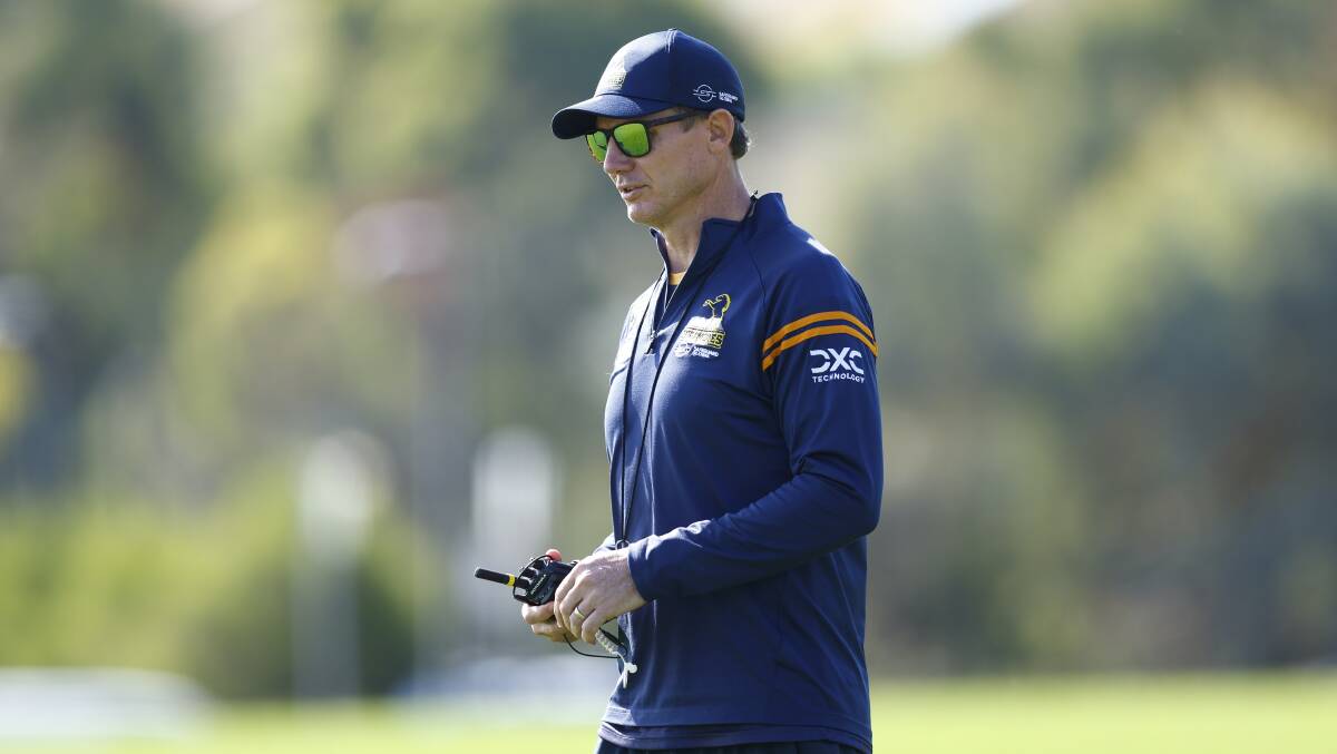 ACT Brumbies coach Stephen Larkham. Picture by Keegan Carroll