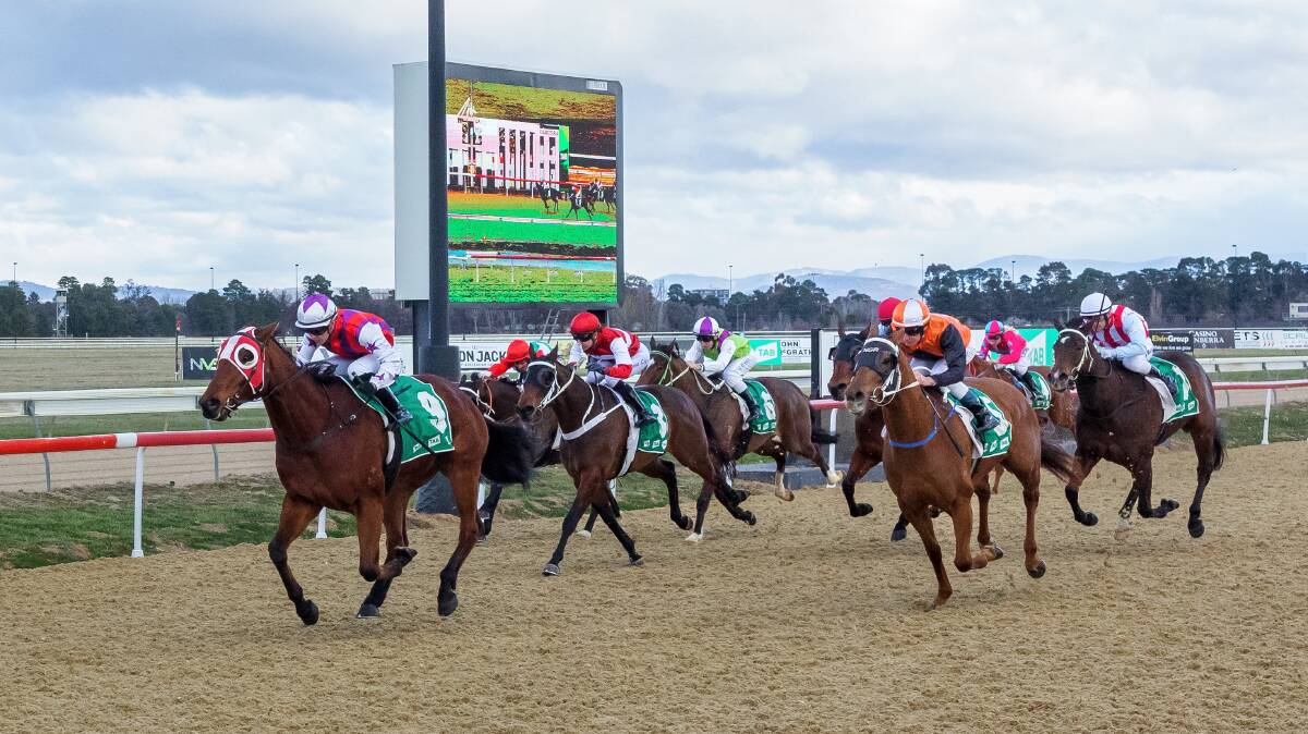 Who But Roo charges to victory in Friday's Federal at Canberra Racecourse. Picture by Sitthixay Ditthavong