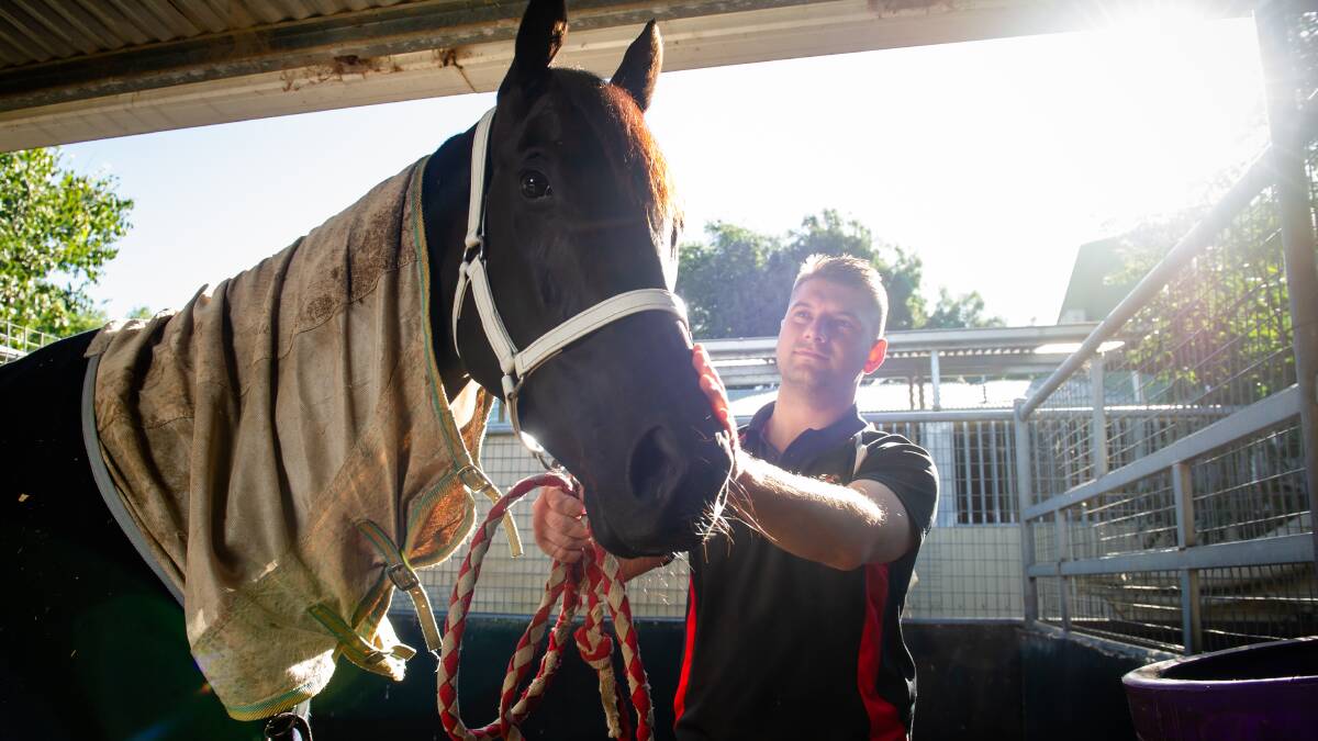 Canberra trainer Matt Kelley and I've Bean Tryin' are chasing Country Championships success on Saturday. Picture by Elesa Kurtz