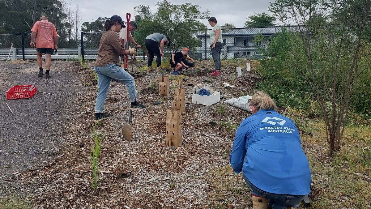 Disaster Relief Australia volunteers helping Cobargo Green Recovery volunteers. Picture supplied