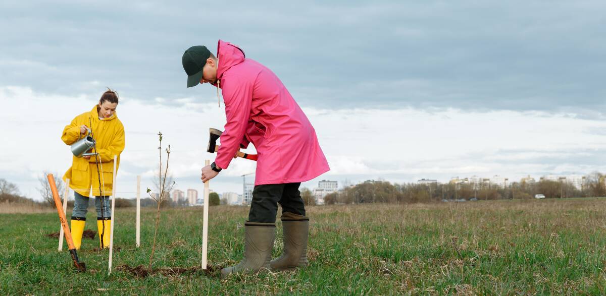 Female councillors win the day on tree planting