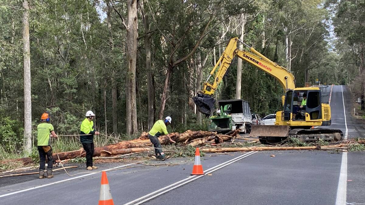 Clearing along Princes Highway|Photos, video