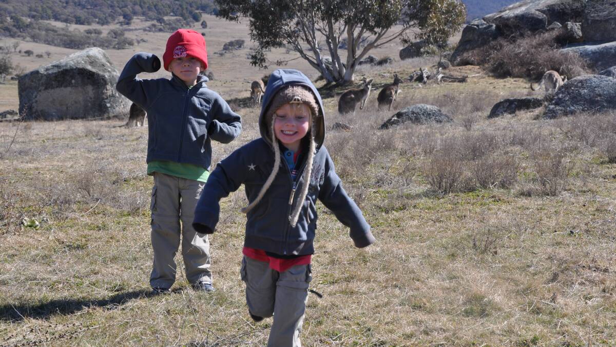 Jono Lineen's sons, Liam and Connor, enjoying a walk at Yankee Hat a few years ago. Picture: Supplied