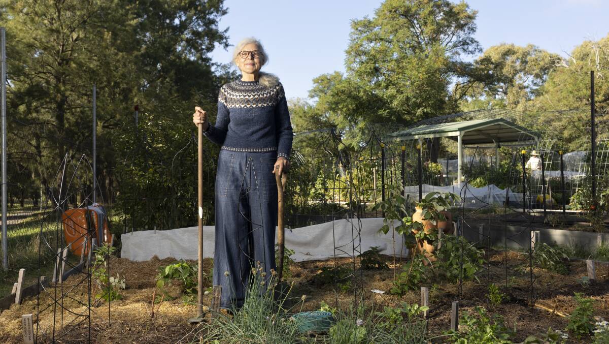 Jane Laloma tending in her plot at the Kambah COGS. Picture by Keegan Carroll