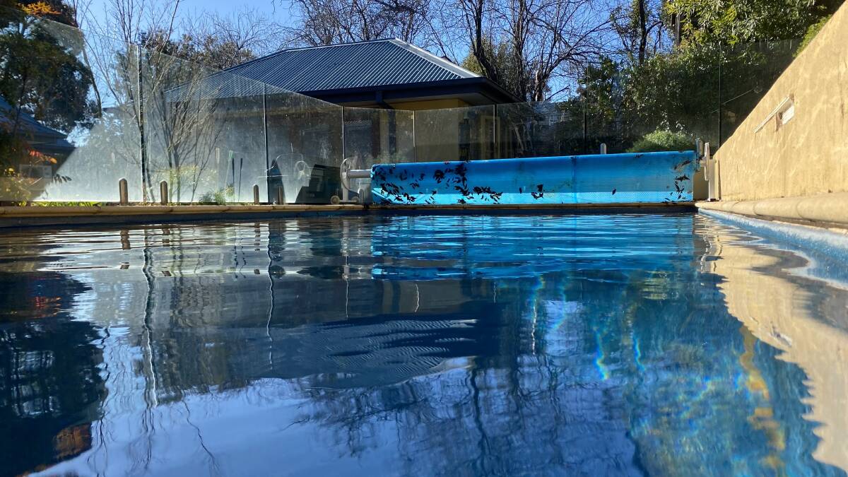 Bronte Campbell's gone from this backyard pool in Ainslie to Paris. Picture supplied