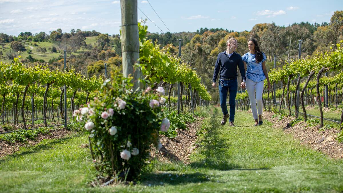 Explore the vineyards and enjoy tastings amongst the vines. Picture supplied