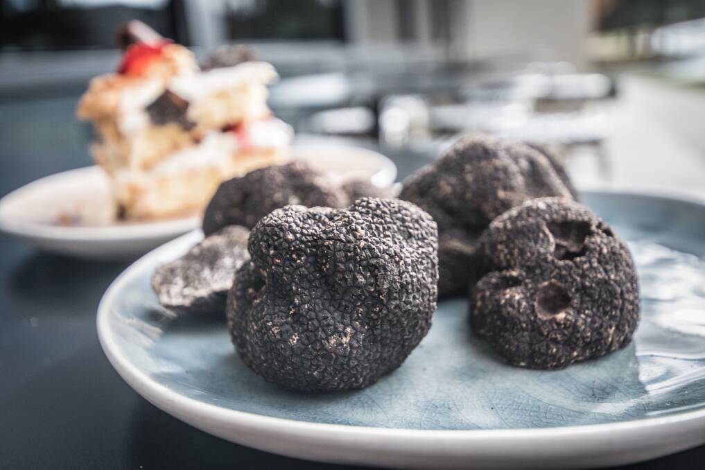 Truffles and a truffle cake (made with truffle infused eggs, truffle infused butter and truffle infused cream). Picture by Karleen Minney