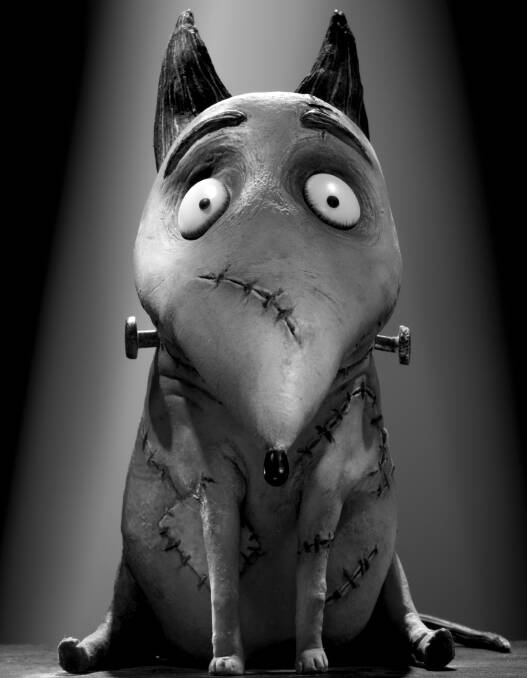 Sparky in Tim Burton's Frankenweenie. Picture supplied