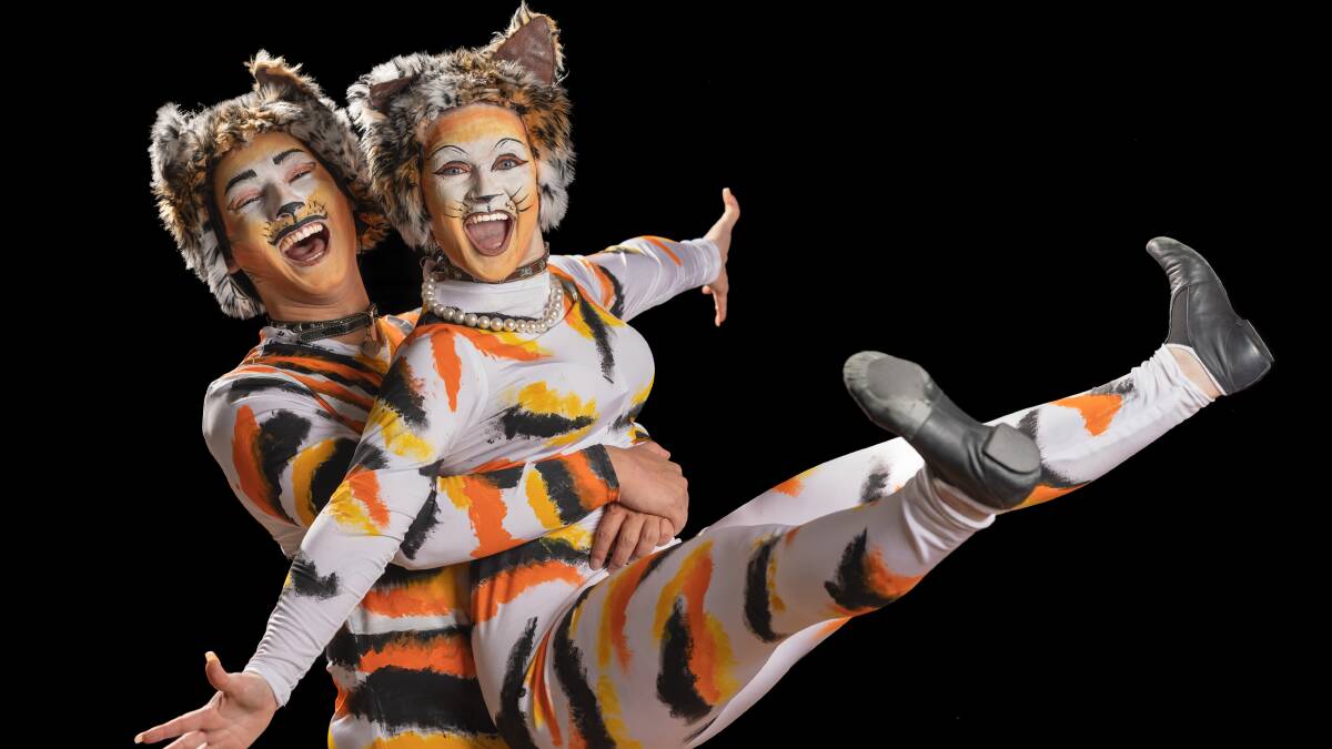 Cats' review: Movie-musical is a total disaster