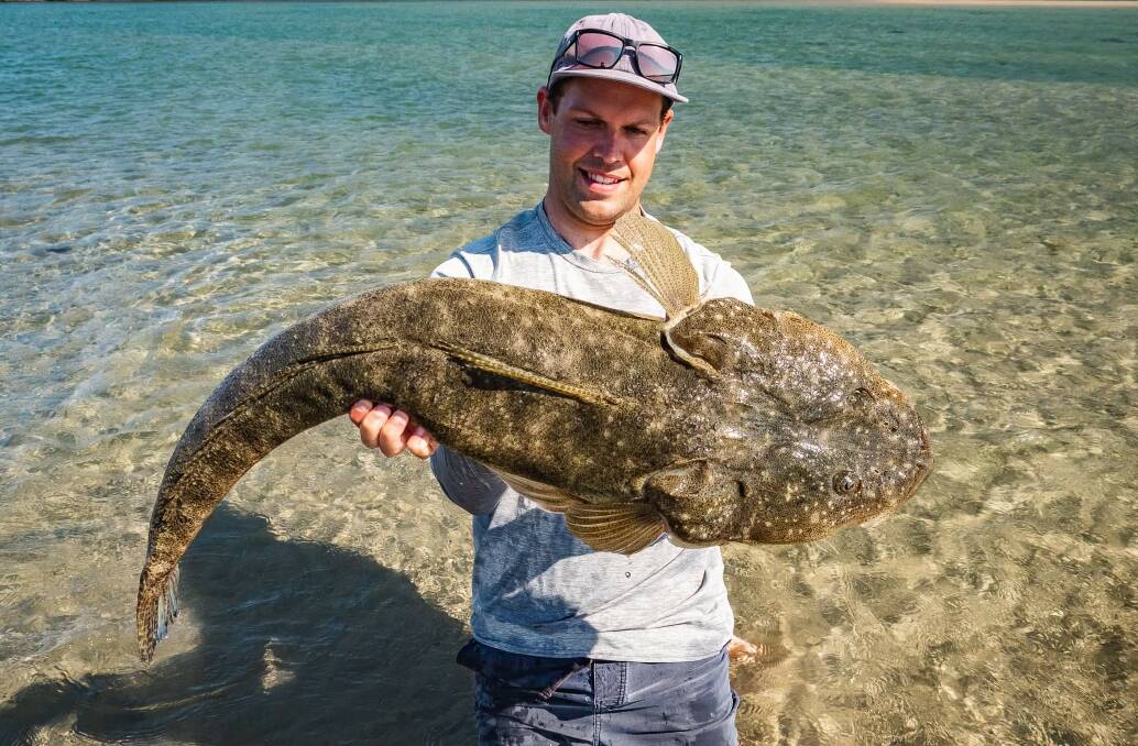This massive flathead was caught further north, but there are fish like this on offer on the NSW South Coast right now. Picture: Patrick Linehan