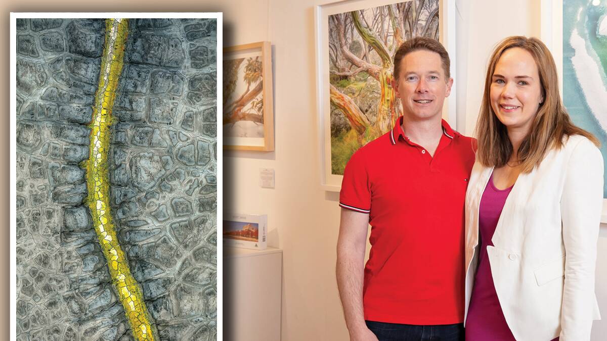 Scott and Phillipa Leggo in their Kingston gallery. Inset: Scott's photograph 'Backbone' Picture by Sitthixay Ditthavong