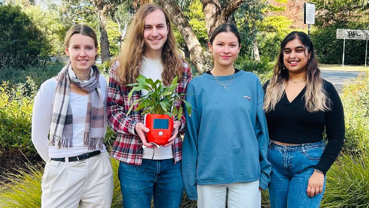 Rebecca Faurby, Jasper Lang, Michelle Turner and Brinda Murlikrishna have attempted to reduce innocent house plant deaths by creating Francesco, the talking house plant. Picture supplied