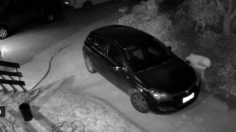 A screenshot of the man spotted on CCTV footage damaging cars in Gowrie. Picture: ACT Policing. 
