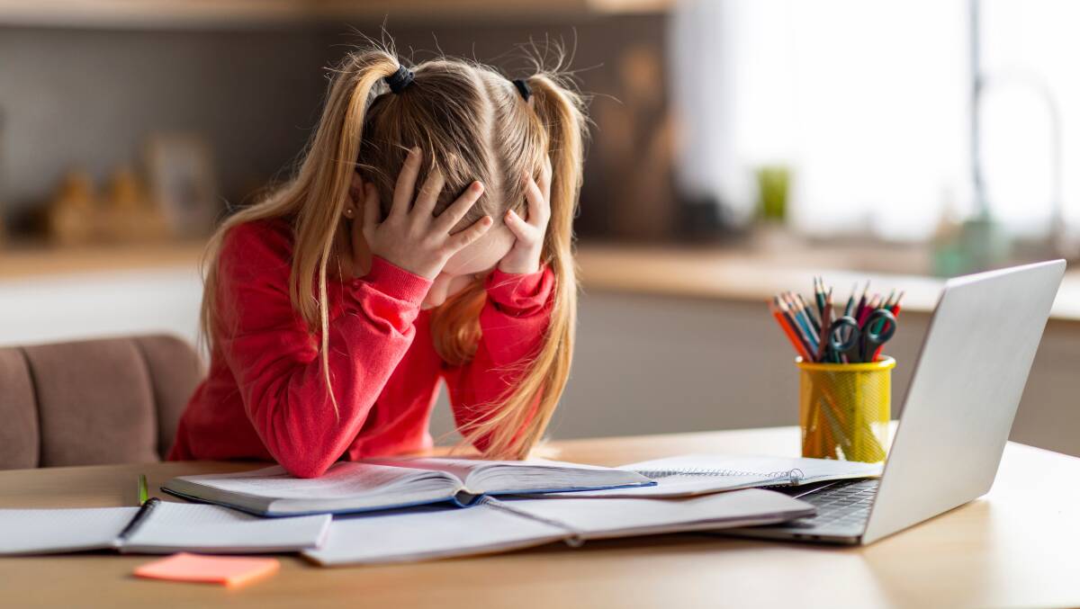 As two Canberra parents with children the ACT public school system has failed to teach to read, we know there are big issues. Picture Shutterstock