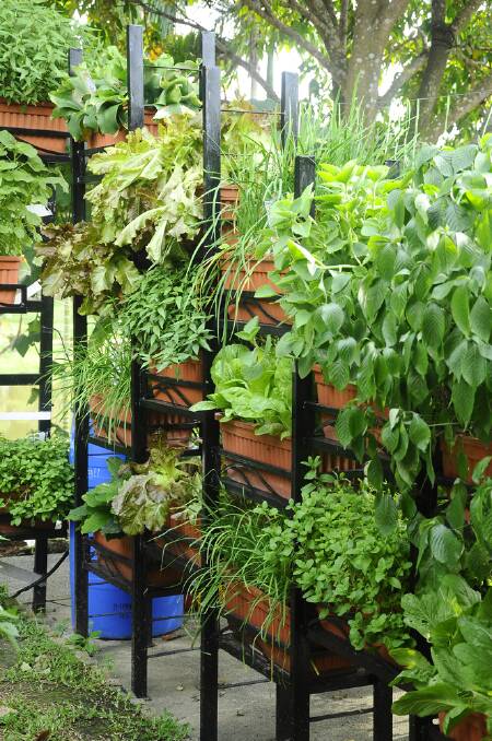 Vertical gardens are a genius space-saver. Picture: Shutterstock