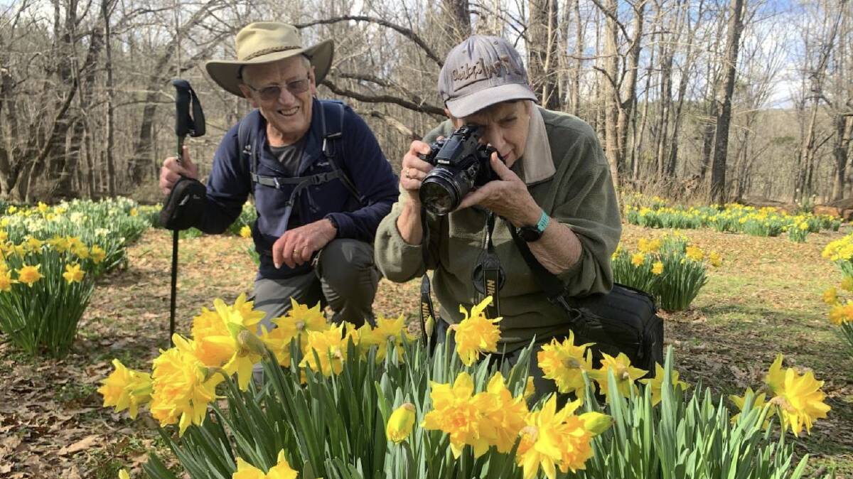 Bob and Rosemary Parker have been documenting the annual blooms at Sherwood for more than two decades. Picture by Tim the Yowie Man