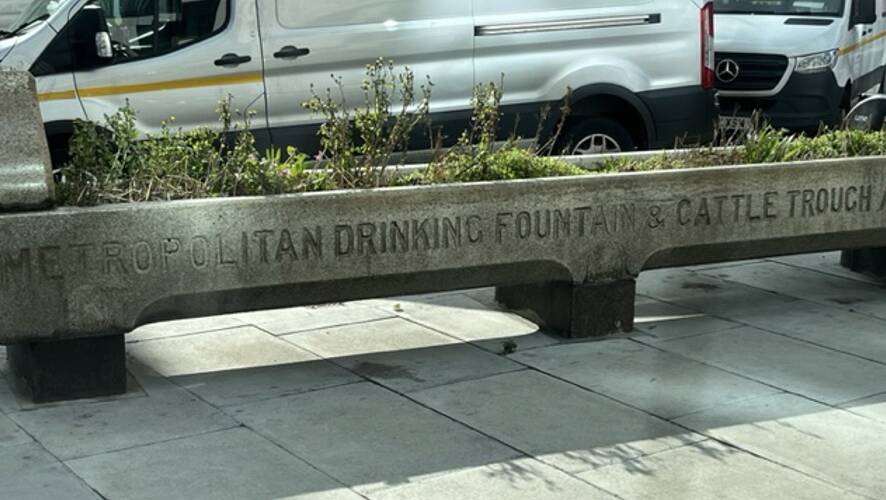 A Metropolitan Drinking Fountain and Cattle Trough Association trough spotted in London. Picture by Lindsay Kranz