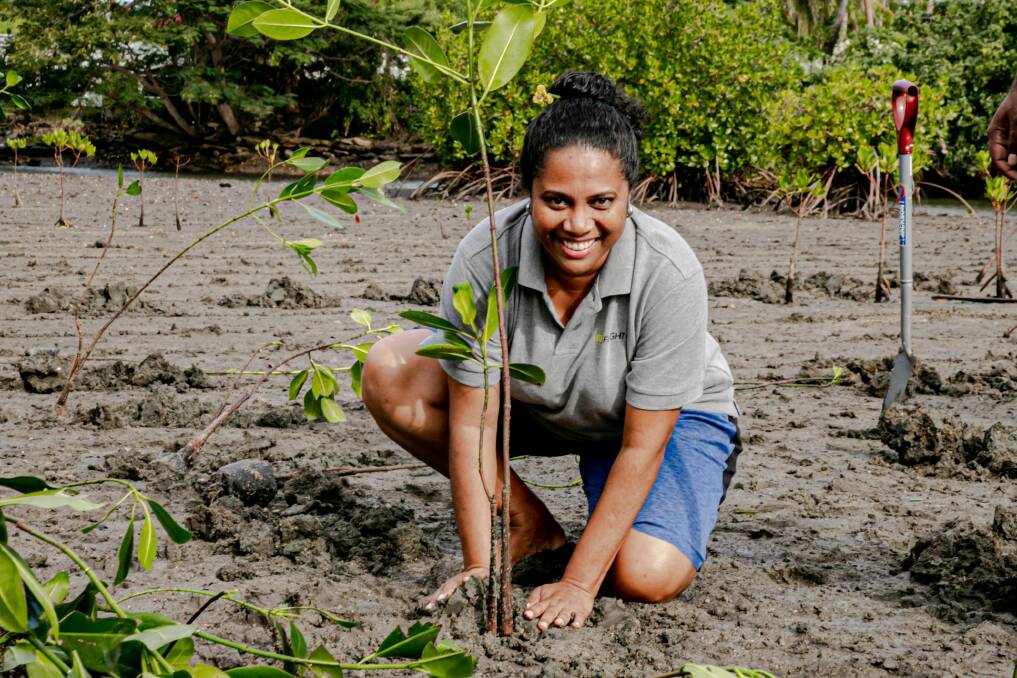 You can help plant mangrove seedlings at a rehabilitation site. Picture Fiji Tourism