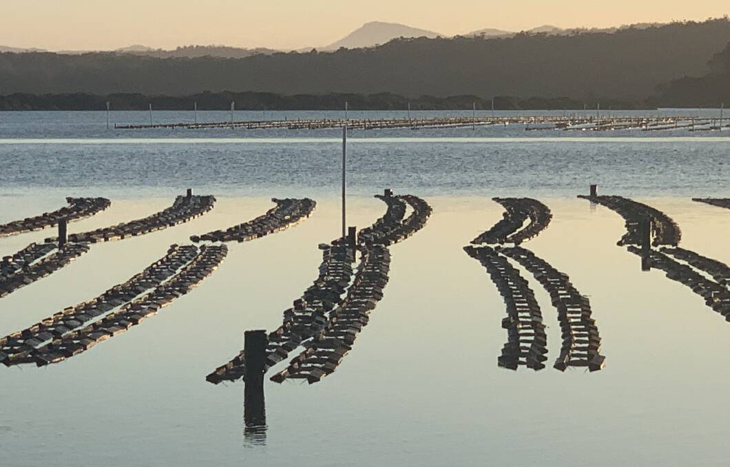 Oyster leases on Merimbula Lake. Picture by Tim the Yowie Man