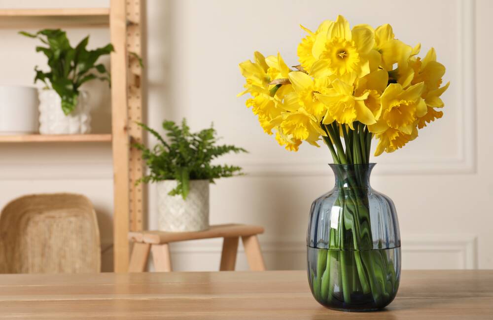 The 'bung' method works for flower arranging, too. Picture Shutterstock