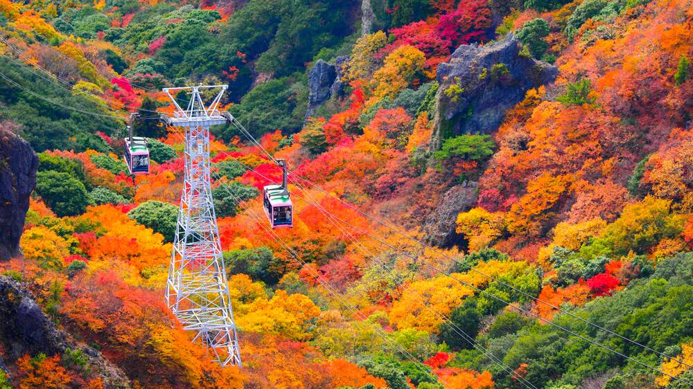  The Japanese island of Shikoku is famous for its autumn colours. File picture