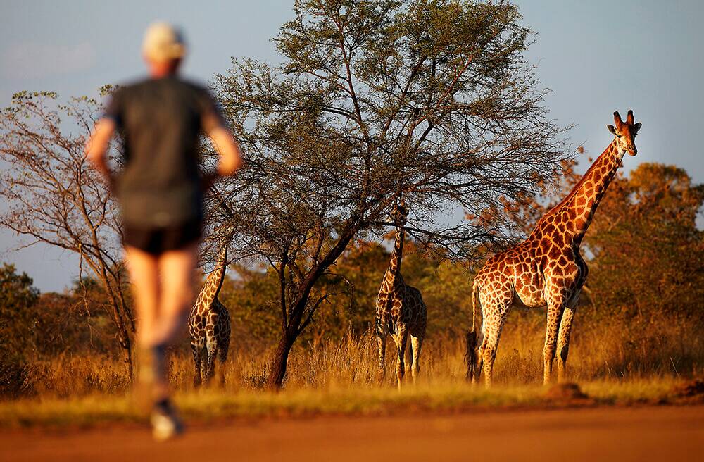 The Big Five Marathon course in South Africa winds through a game reserve. Picture Travelling Fit