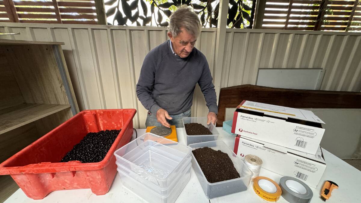 The nerve centre of John Feehan's national dung beetle distribution centre. Picture by Tim the Yowie Man